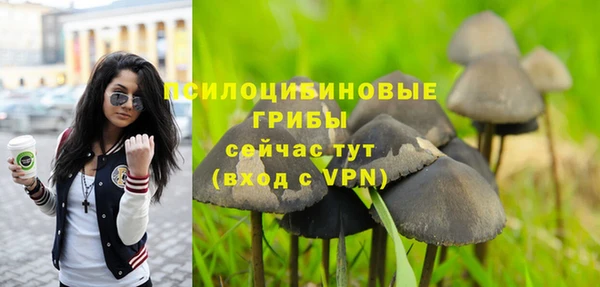 а пвп мука Алзамай
