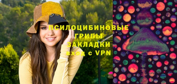 гидра Покров